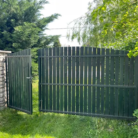 Authentic Zalagyomoro